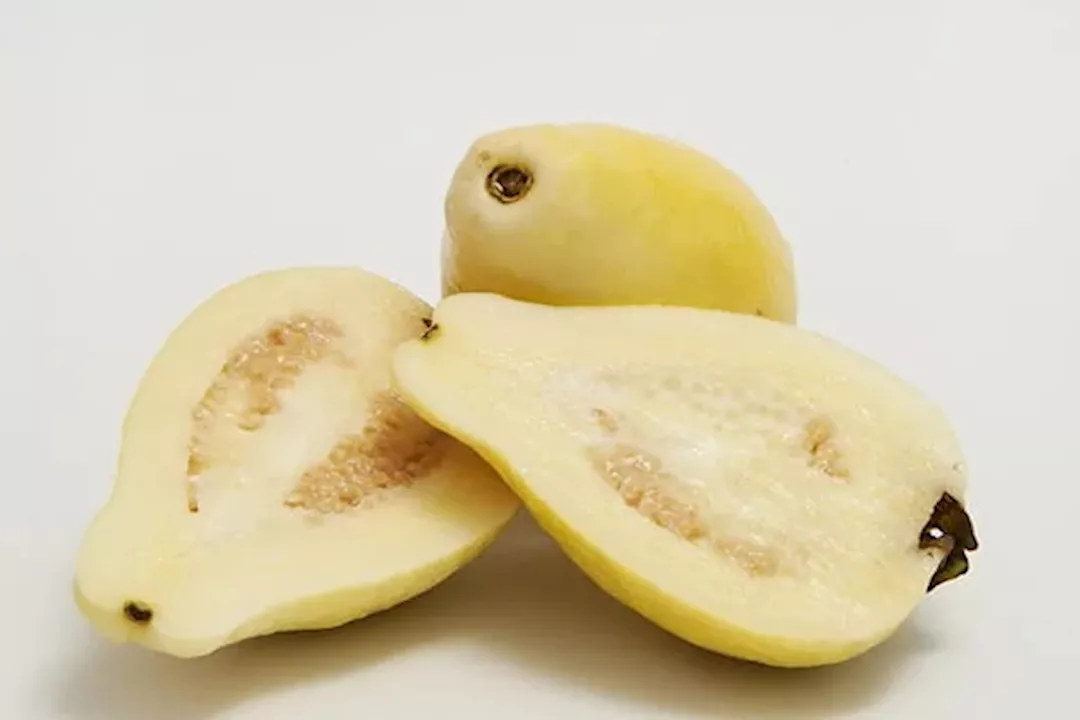 الفوائد العلاجية للجوافة- 4 أمراض تشفيك منها