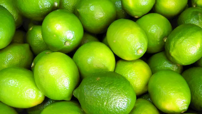 انخفاض الليمون.. أسعار الخضروات والفاكهة في سوق العبور اليوم 