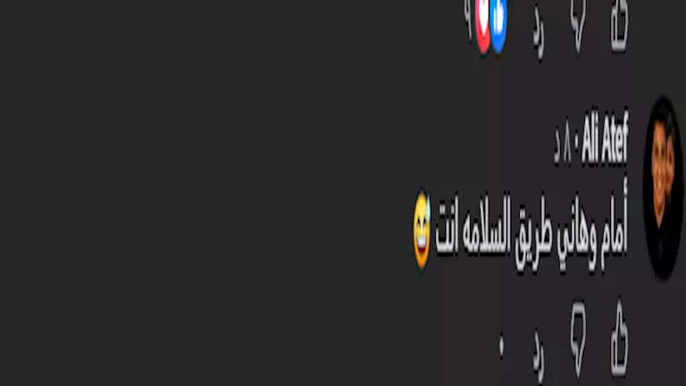 تعليق الجماهير 2