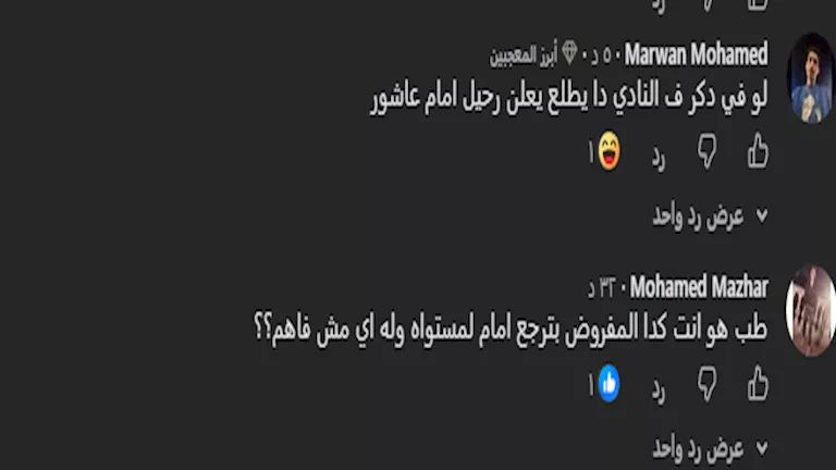 تعليق الجماهير 4