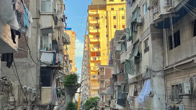 صورة الخبر