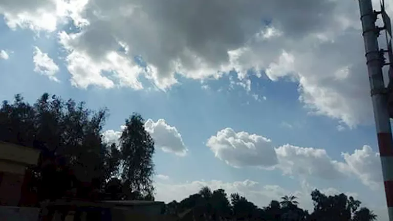 صورة الخبر