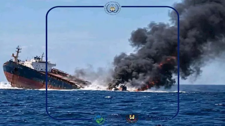 صورة الخبر