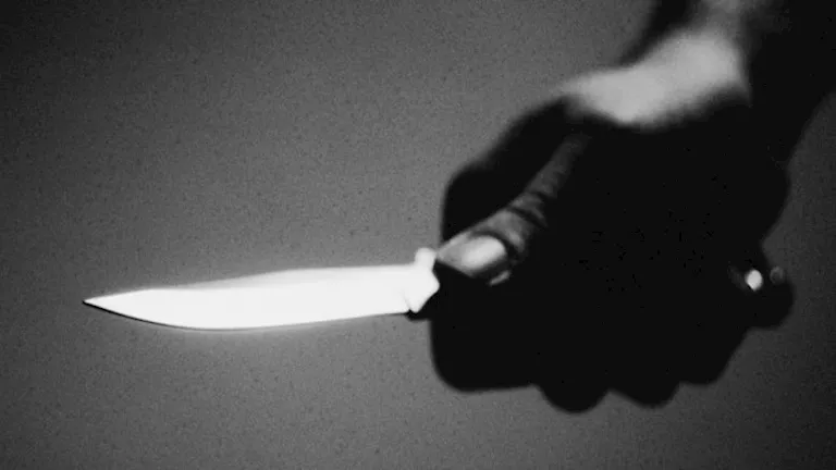 مصر – جريمة أرض اللواء.. شاب يشوه وجه فتاة بـ«الكتر» بسبب كلمة (تفاصيل)