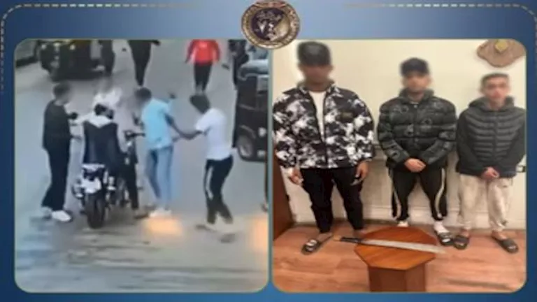 مصر – خلاف على أولوية المرور يتحول إلى شجار مسلح بالدقهلية بالفيديو