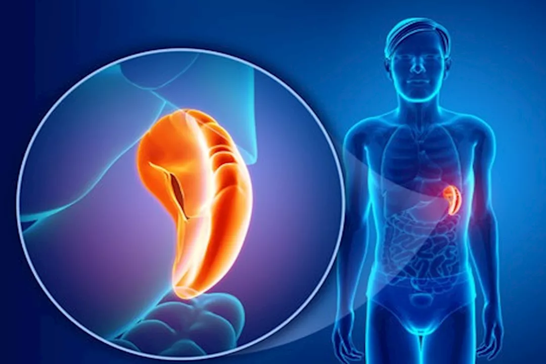 ألم الطحال بالصور- 4 مناطق بجسمك يحدث فيها