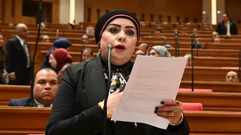 نائبة تعلن إعدادها مشروع قانون لتنظيم التطبيب والعلاج عن بُعد
