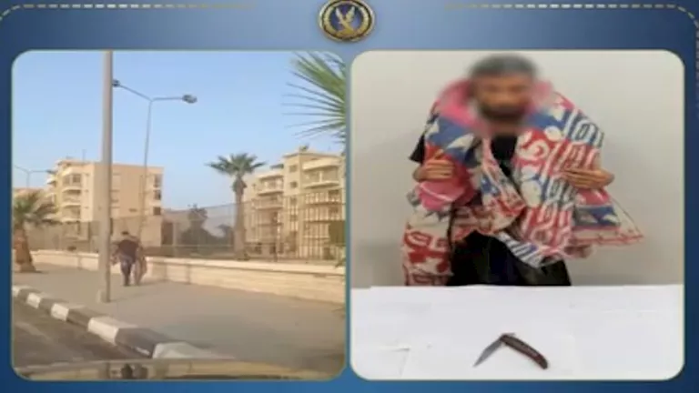 فيديو مثير | شاب يتجول حاملاً سلاحًا أبيض بالإسماعيلية.. الداخلية: مهت