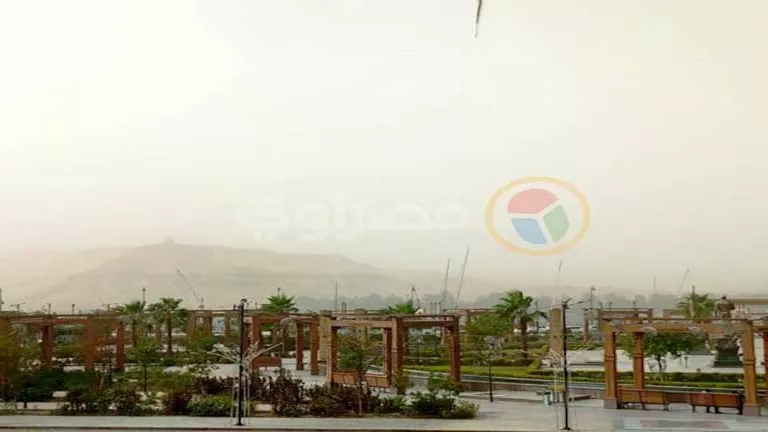 نصائح من مركز تغير المناخ للحفاظ على المحاصيل الزراعية