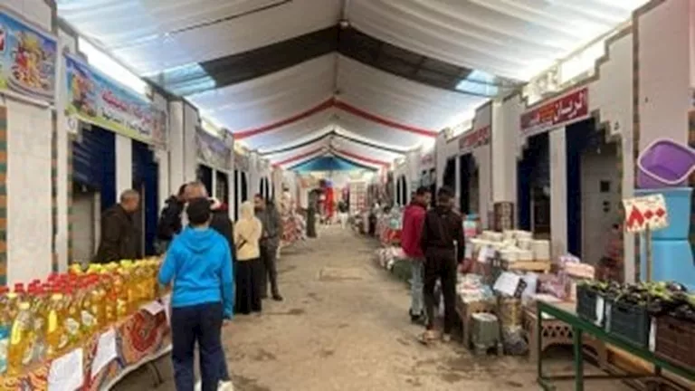 اليوم.. وزيرا الزراعة والتموين ومحافظ الجيزة يفتتحون معرض السلع بالمتح