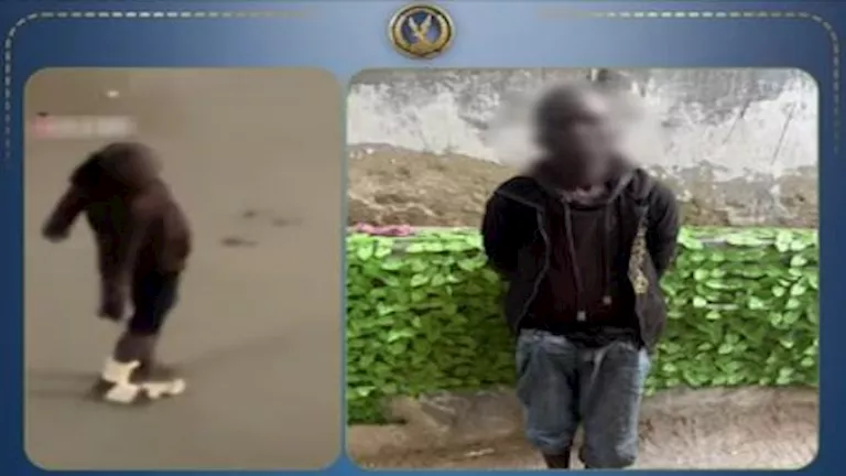 ضبط أجنبي يرقص بطريقة غير متزنة في الجيزة