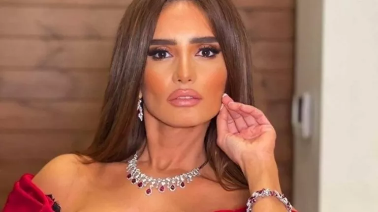 مصر – وقف محاكمة صاحب كلب في واقعة مطاردة طفلي الفنانة زينة بالشيخ زايد