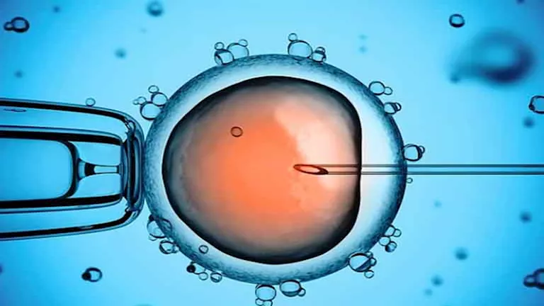 وثائق إبستين تكشف تفاصيل مشروع سري لاستنساخ البشر.. ما القصة؟