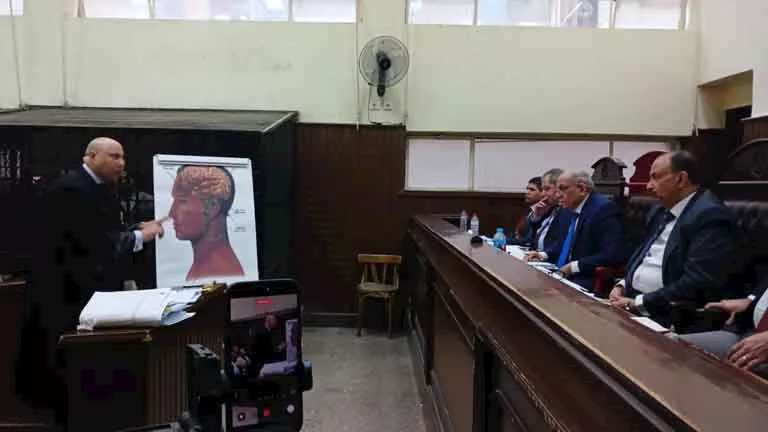 الجنايات تعاقب سائقًا بالمؤبد وتبرئ شقيقه في قضية “ثأر العمرانية”