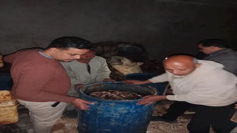 مصر – طبيب بيطري المنوفية يضبط 3 أطنان لحوم ودواجن فاسدة خلال شهر