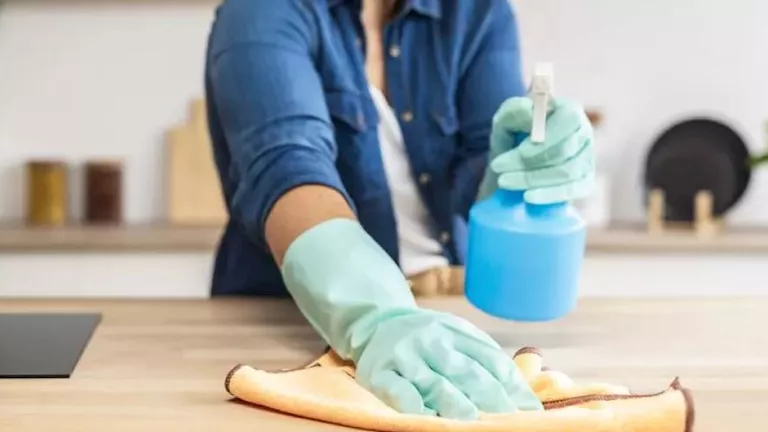 نظفيها جيدا.. أدوات منزلية قد تفوق المرحاض في الجراثيم 