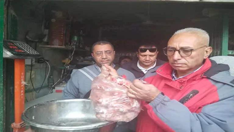 ضبط 3 أطنان لحوم ودواجن وأسماك فاسدة بالمنيا – صور