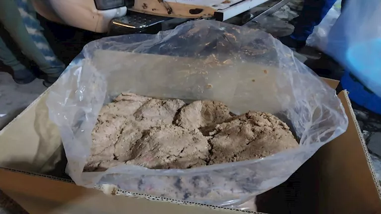 مصر – تموين بورسعيد يضبط 200 كيلو لحم مفروم داخل مصنع لتصنيع البرجر غير المرخص