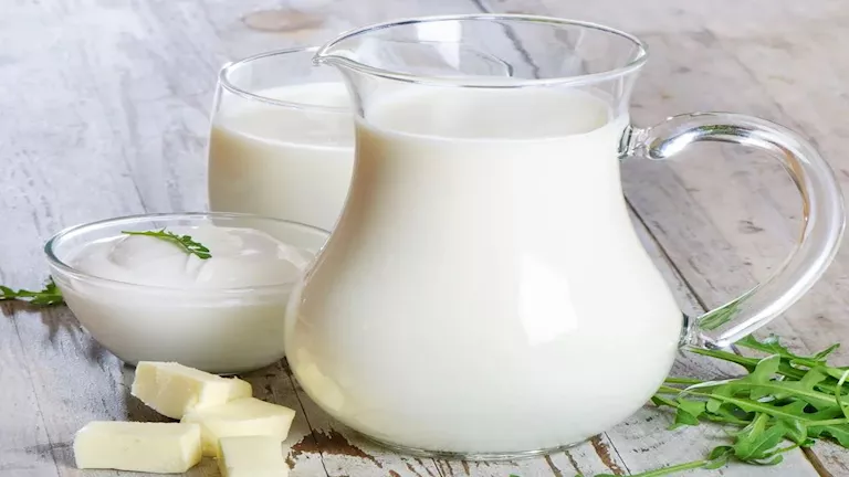 كيف يؤثر تناول الحليب على صحة القلب والأوعية الدموية؟ 