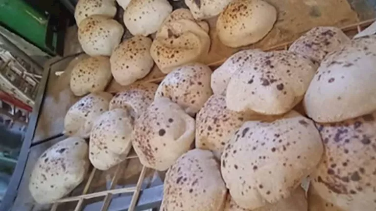 مصر – تكثيف الحملات التموينية بأسيوط خلال عيد الفطر