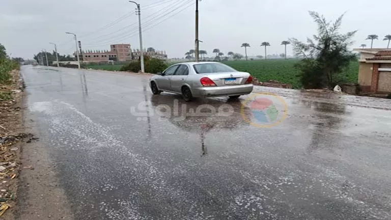 الطقس اليوم.. رفع درجة الاستعداد القصوى بالقليوبية لمواجهة الأمطار