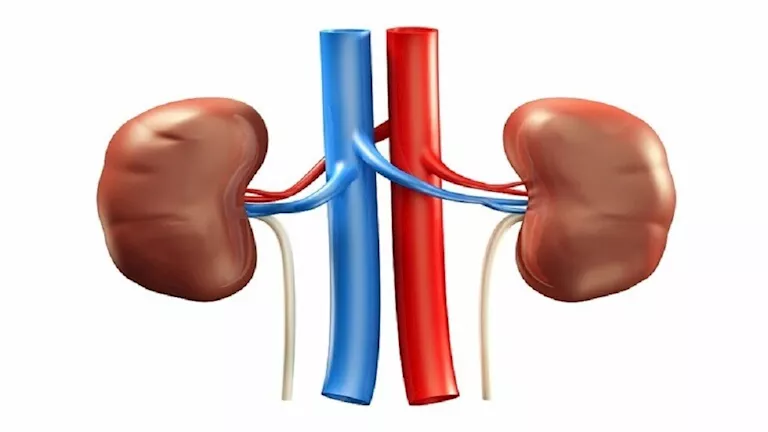 تناول هذه الأطعمة ليلا يُجهد كليتيك بصمت.. احذر قبل فوات الأوان 