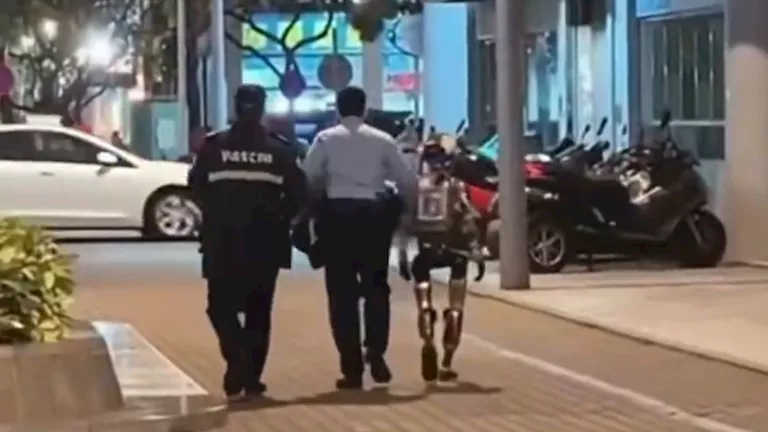 فيديو يظهر تدخل الشرطة لإنهاء مواجهة بين روبوت وامرأة