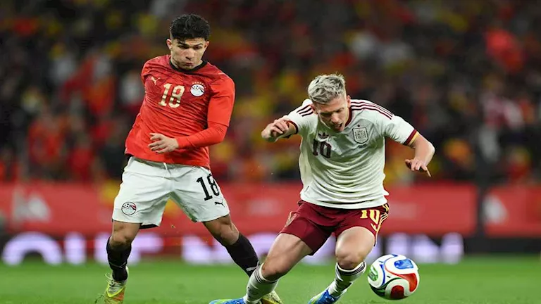 لقطة مميزة من جماهير منتخب إسبانيا خلال مباراة مصر