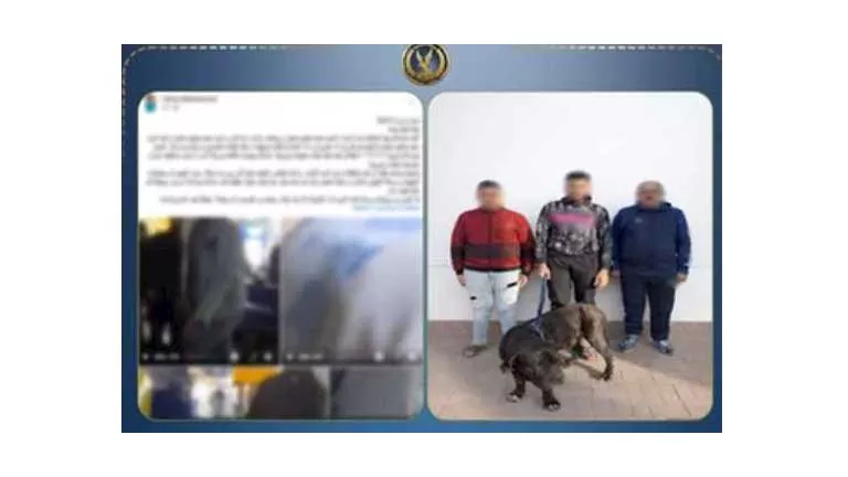 مشاجرة الجيرة تتحول إلى تهديد بالكلاب وسحجات وكدمات