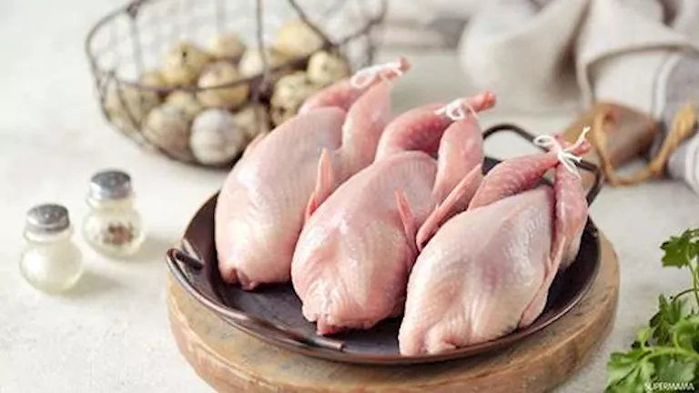 ماذا يحدث لجسمك عند تناول "السمان"؟.. فوائد مذهلة لصحتك 