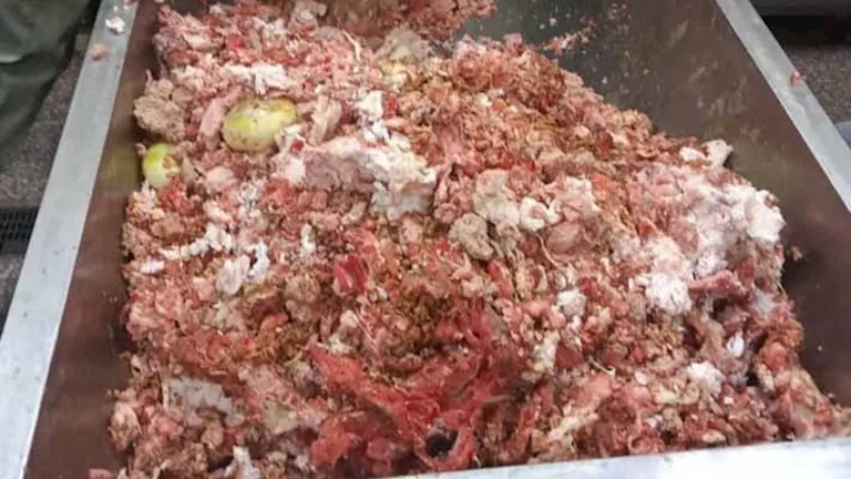 ضبط نحو 3 طن لحوم ودواجن فاسدة بالمنوفية (صور)