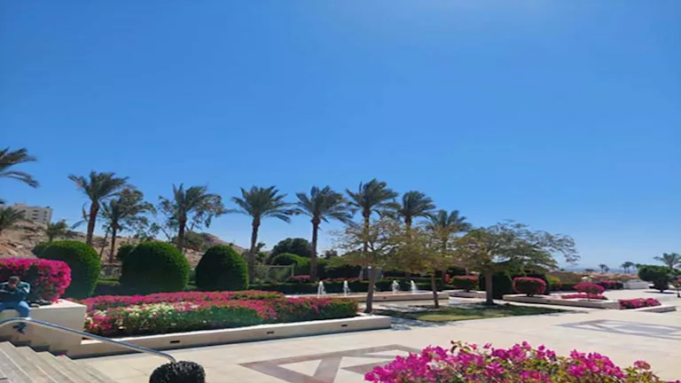الساحة 