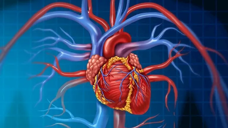 دراسة تكشف .. نظام غذائي يعزز صحة القلب ويخفض الدهون 