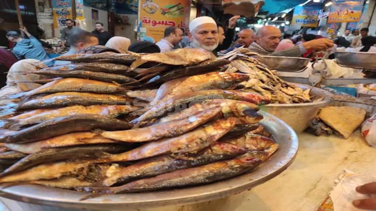 مصر – وهناك إقبال على شراء الفسيخ والرنجة في البحيرة