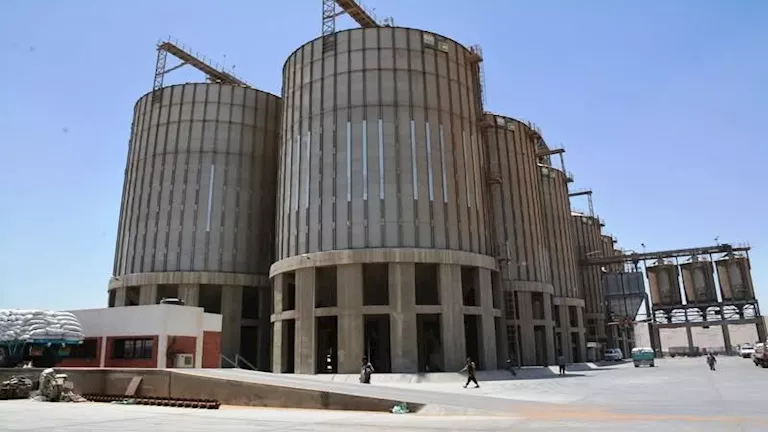 محافظ سوهاج: دعم كامل للمزارعين لضمان توريد أكبر كميات من القمح