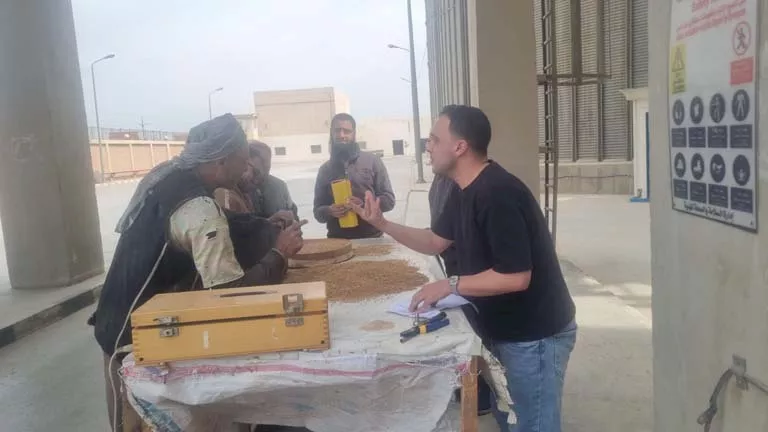 تجهيز 11 موقعًا فى القليوبية لاستقبال محصول القمح