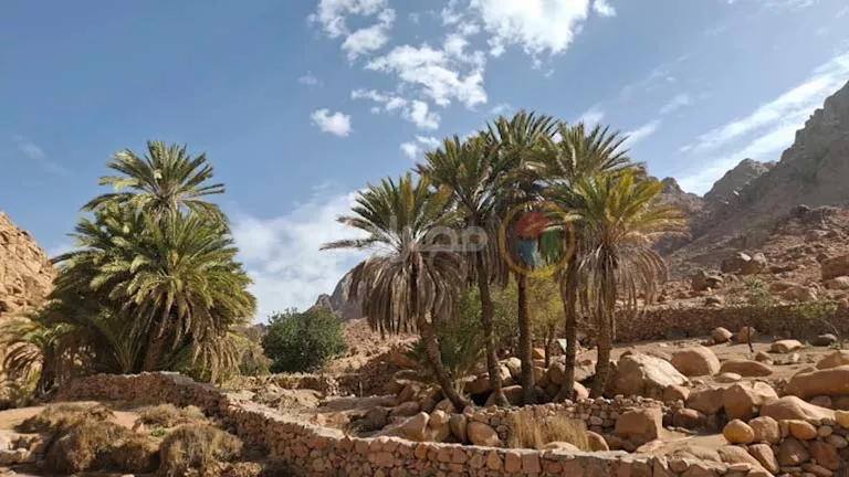 وادي طلاح في سانت كاترين بعد السيول.. وجهة مثالية للتخييم والهايكنج