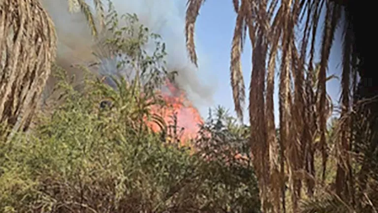 مصر – إخماد حريق في مزارع نخيل العوينة دون وقوع إصابات