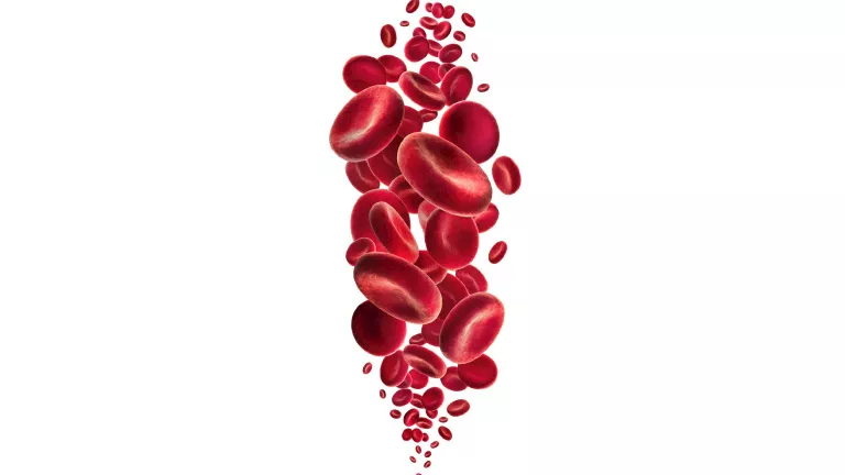 علامات على أظافرك لا تتجاهلها.. إشارات مبكرة تكشف الإصابة بالأنيميا 