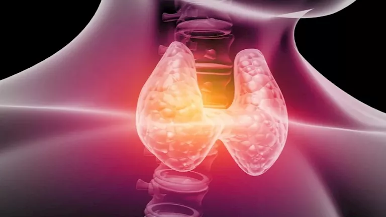 4 أعراض تكشف إصابتك بـ قصور الغدة الدرقية.. لا تتجاهلها 