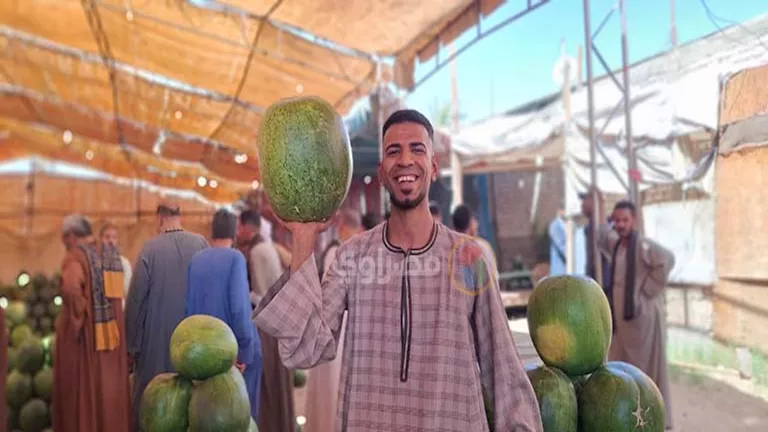 أسواق أسيوط تستقبل البطيخ الصيفي (19)