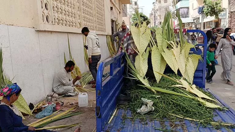 المنيا تستقبل “أحد الشعانين” بمظاهر احتفالية مبكرة