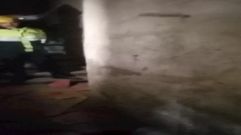 b3693428-8a7b-4465-8659-72fdb6fe4164