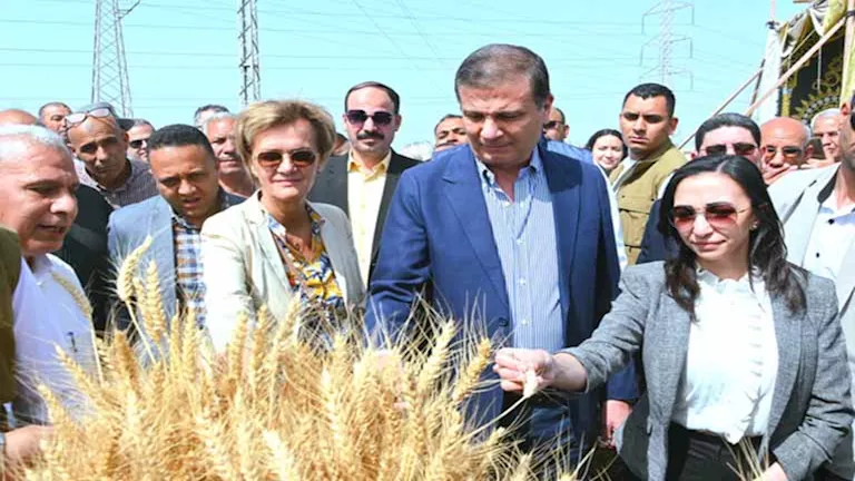محافظ البحيرة ووزير الزراعة وسفيرة الاتحاد الأوروبي يشهدون احتفالية مي