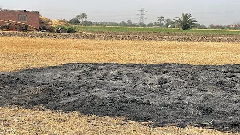 الأجهزة الأمنية بالقليوبية تكثف جهودها لكشف ملابسات حريق محصول قمح