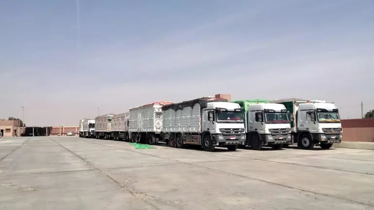 المنيا تعلن استقبال 109 آلاف و334 طن قمح محلي منذ بدء موسم التوريد