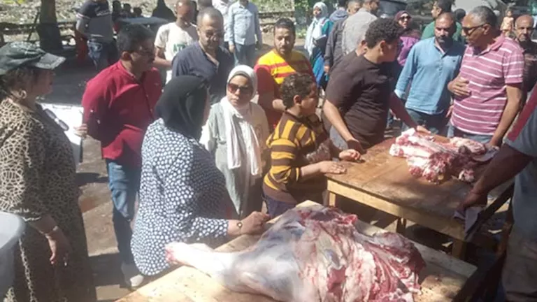 مصر – قبل عيد الأضحى.. 714 ألف جنيه غرامات مخالفة محلات بالإسكندرية – صور مصر – قبل عيد الأضحى.. 714 ألف جنيه غرامات مخالفة محلات بالإسكندرية – صور