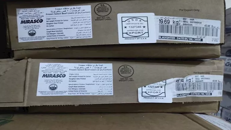 مصر – قبل عيد الأضحى.. ضبط لحوم وكبد مجهولة المصدر بالإسكندرية (صور)