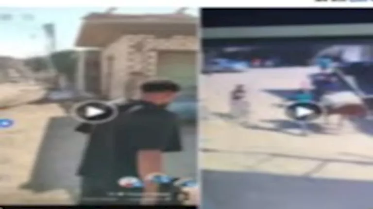 مشاجرة جيرة وليست فتنة.. الداخلية تكشف التفاصيل الكاملة لواقعة المنيا مشاجرة جيرة وليست فتنة.. الداخلية تكشف التفاصيل الكاملة لواقعة المنيا