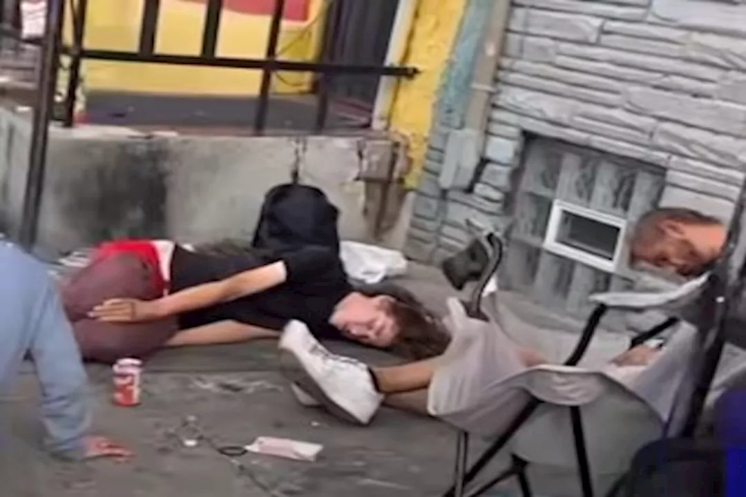 4545664465465